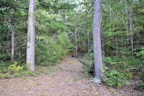 3948 Flatwoods Rd, Elliston, VA 24087 photo 38