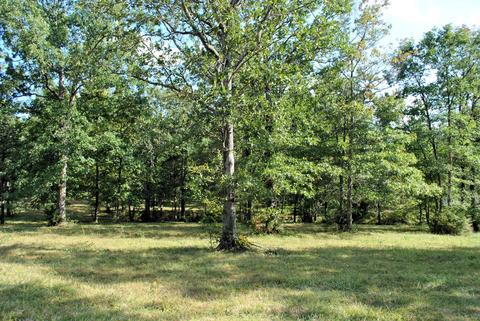 3948 Flatwoods Rd, Elliston, VA 24087 photo 20