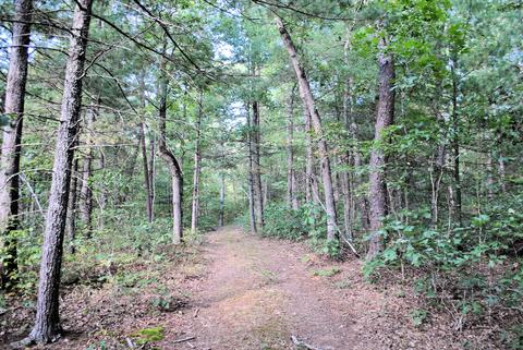 3948 Flatwoods Rd, Elliston, VA 24087 photo 41