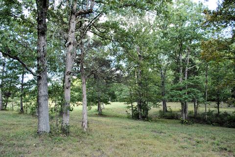 3948 Flatwoods Rd, Elliston, VA 24087 photo 51