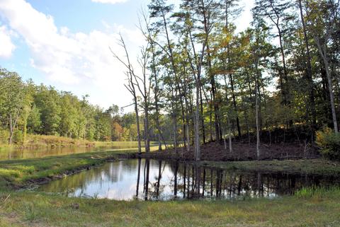 3948 Flatwoods Rd, Elliston, VA 24087 photo 29