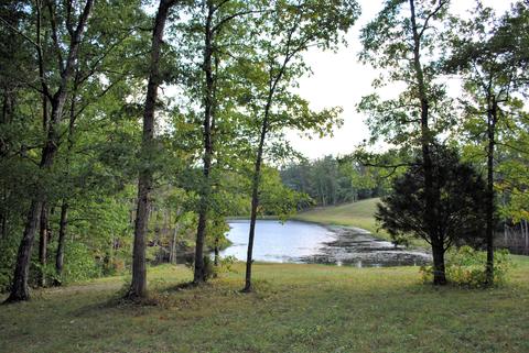 3948 Flatwoods Rd, Elliston, VA 24087 photo 48