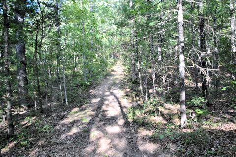 3948 Flatwoods Rd, Elliston, VA 24087 photo 46
