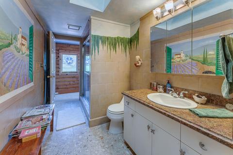 183 Connect Rd, Buchanan, VA 24066 photo 53