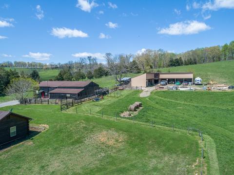 183 Connect Rd, Buchanan, VA 24066 photo 85