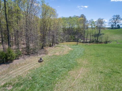 183 Connect Rd, Buchanan, VA 24066 photo 90