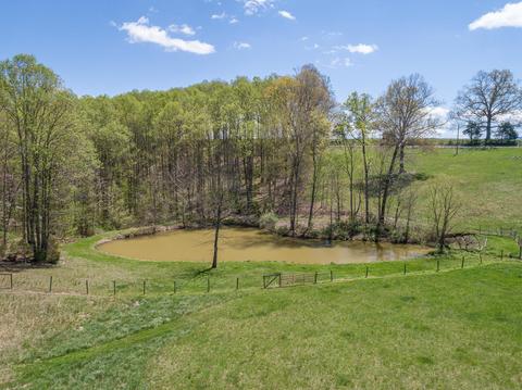 183 Connect Rd, Buchanan, VA 24066 photo 91