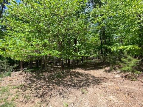 4949 Dan Robin Rd, Salem, VA 24153 photo 49