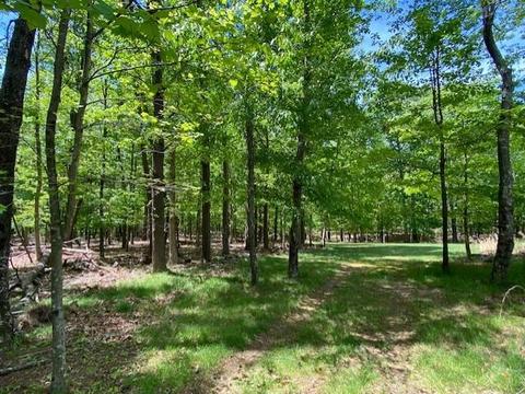 4949 Dan Robin Rd, Salem, VA 24153 photo 11
