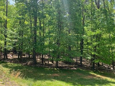 4949 Dan Robin Rd, Salem, VA 24153 photo 47