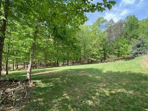 4949 Dan Robin Rd, Salem, VA 24153 photo 46