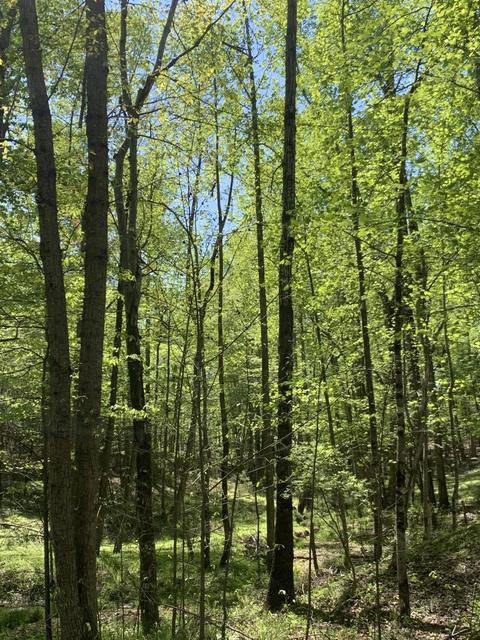 316 Waterlocked Rd, Penhook, VA 24137 photo 3