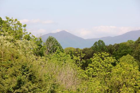 2880 Bells Mill Rd, Goode, VA 24556 photo 88