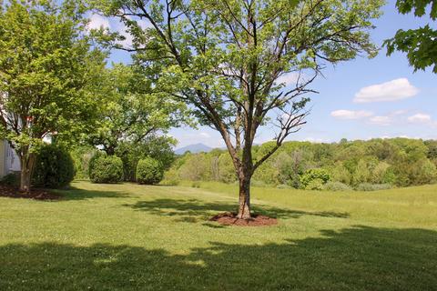 2880 Bells Mill Rd, Goode, VA 24556 photo 119