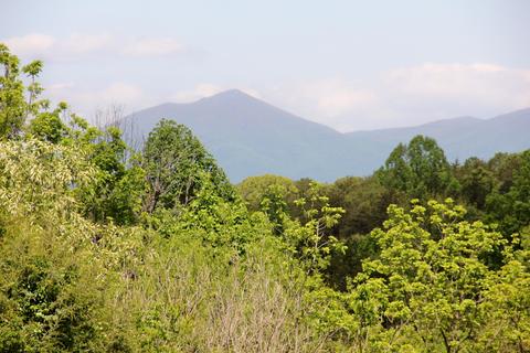 2880 Bells Mill Rd, Goode, VA 24556 photo 89