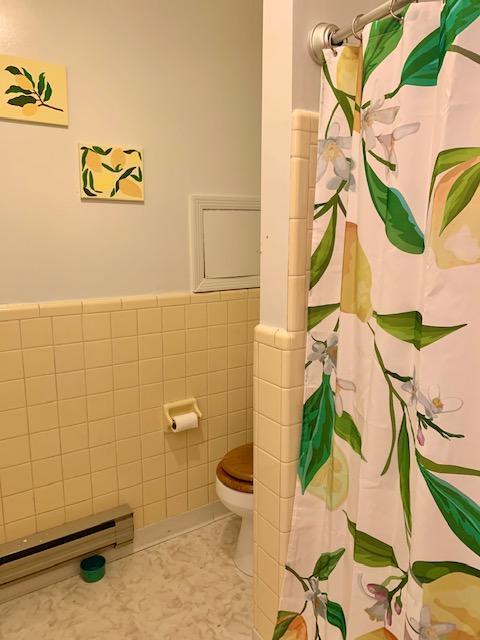 2802 Jackson River Rd, Covington, VA 24426 photo 23