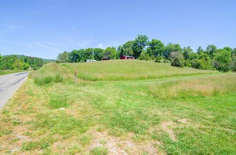 1611 Pendleton Rd, Thaxton, VA 24174 photo 35