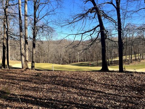 Lot 11 Back Nine Dr, Moneta, VA 24121