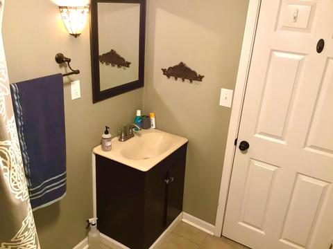 6025 Oakview Ave, Dublin, VA 24084 photo 47