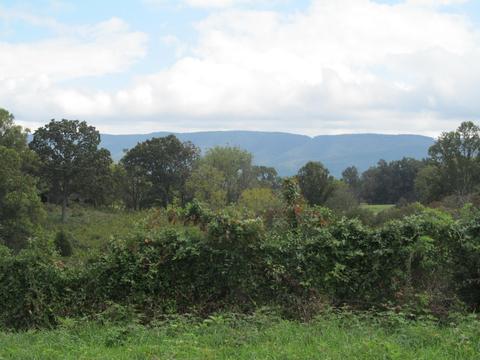 1827 Prease Rd, Buchanan, VA 24066 photo 2
