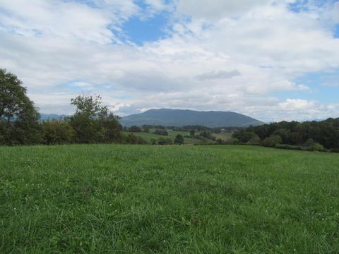 1827 Prease Rd, Buchanan, VA 24066 photo 5