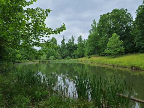 3294 Ayers Rd, Moneta, VA 24121 photo 38