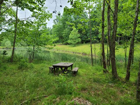 3294 Ayers Rd, Moneta, VA 24121 photo 39