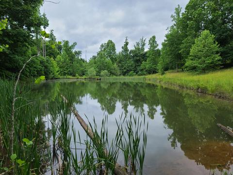 3294 Ayers Rd, Moneta, VA 24121 photo 37