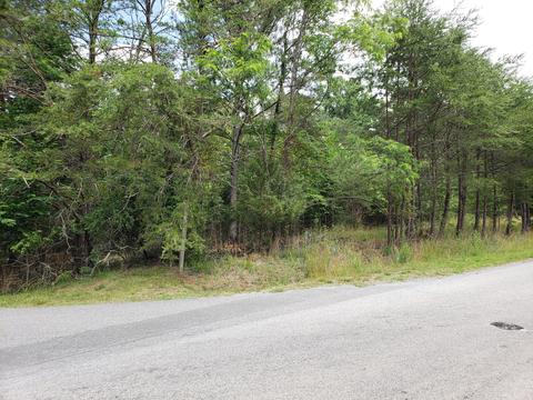 lot65 Meadow Point Dr, Moneta, VA 24121