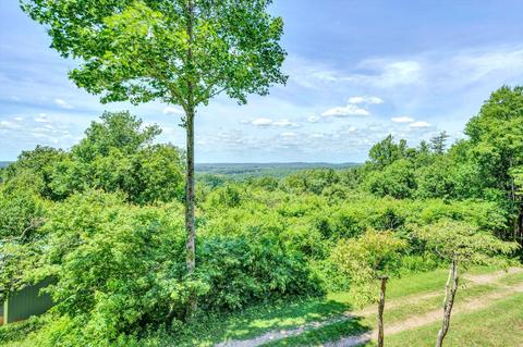 2005 Walnut Knob Rd SE, Floyd, VA 24091 photo 48