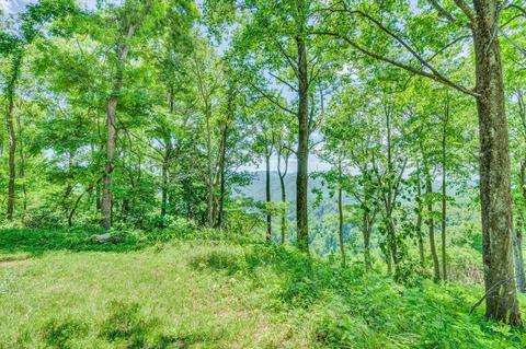 2005 Walnut Knob Rd SE, Floyd, VA 24091 photo 65