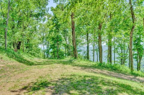 2005 Walnut Knob Rd SE, Floyd, VA 24091 photo 63
