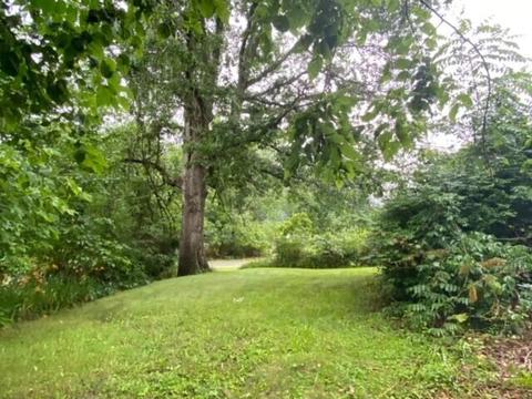 2952 N Fork Rd, Elliston, VA 24087 photo 21