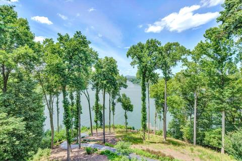 1201 Longview Estates Dr, Goodview, VA 24095 photo 46