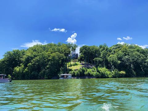 1201 Longview Estates Dr, Goodview, VA 24095 photo 97