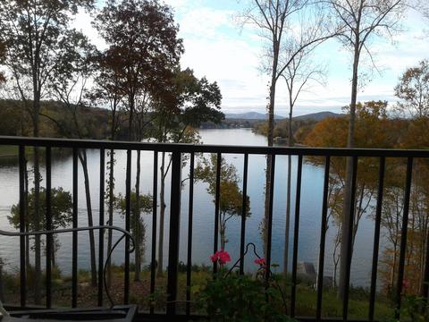 1201 Longview Estates Dr, Goodview, VA 24095 photo 89
