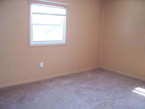 1401 E Dolly Ann Dr, Covington, VA 24426 photo 21