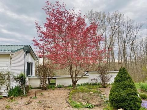 210 Second Ave, Clifton Forge, VA 24422 photo 22