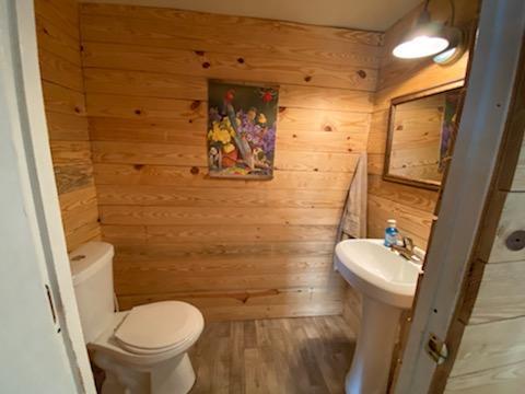 210 Second Ave, Clifton Forge, VA 24422 photo 9