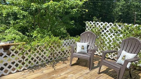 210 Second Ave, Clifton Forge, VA 24422 photo 24