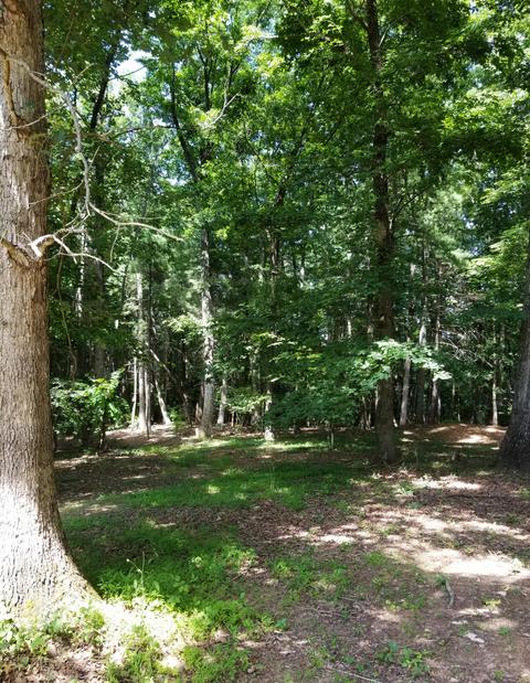 90 Ferrum Forest Ln, Ferrum, VA 24088 photo 23