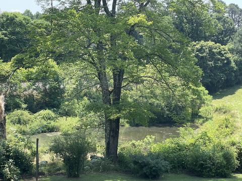 165 Lee Ford Camp Rd, Ridgeway, VA 24148 photo 29