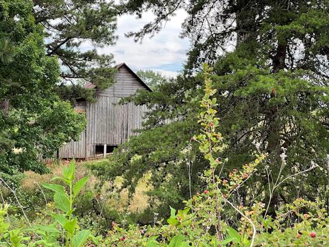 165 Lee Ford Camp Rd, Ridgeway, VA 24148 photo 14