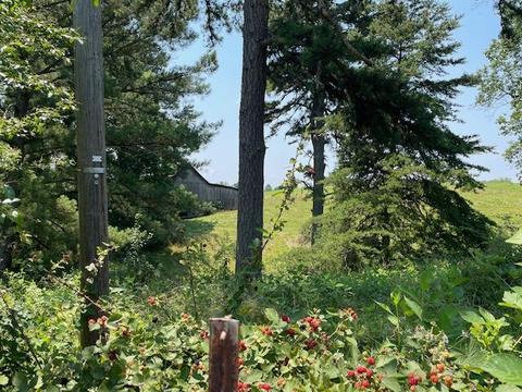 165 Lee Ford Camp Rd, Ridgeway, VA 24148 photo 28