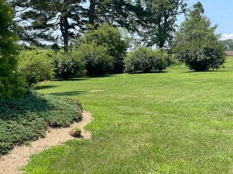165 Lee Ford Camp Rd, Ridgeway, VA 24148 photo 25