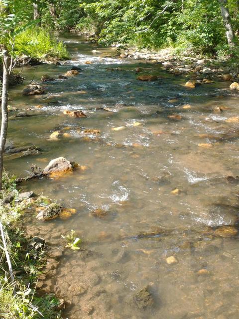 895 Runnett Bag Rd, Ferrum, VA 24088 photo 4