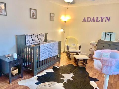 210 Green Violet Dr, Covington, VA 24426 photo 23