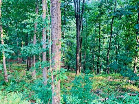 210 Green Violet Dr, Covington, VA 24426 photo 32