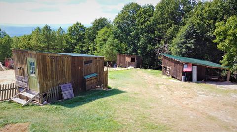 688 Blain Rd, Buchanan, VA 24066 photo 36