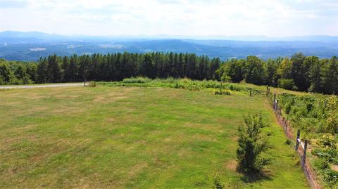 688 Blain Rd, Buchanan, VA 24066 photo 41